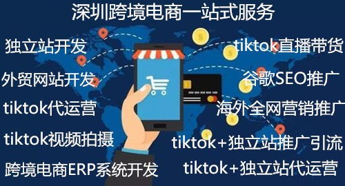 倉儲軟件開發(fā)與廣告設計 現代企業(yè)運營的雙翼