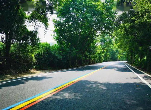 沿著 最長彩虹公路 一路暢游無錫